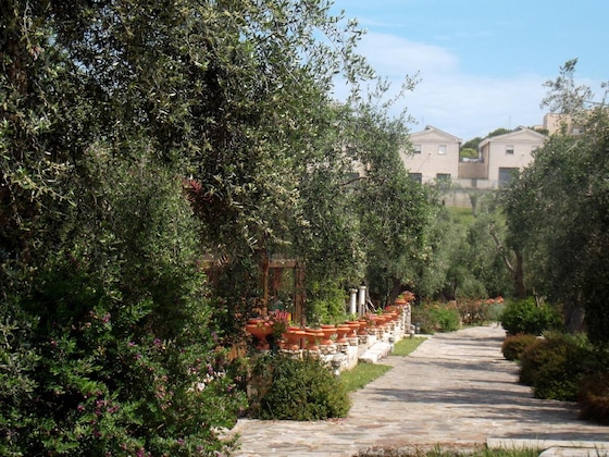 Gallery - Poggio Degli Ulivi