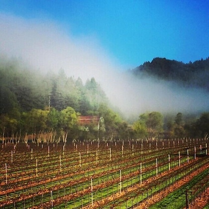 Gallery - West Sonoma Inn & Spa