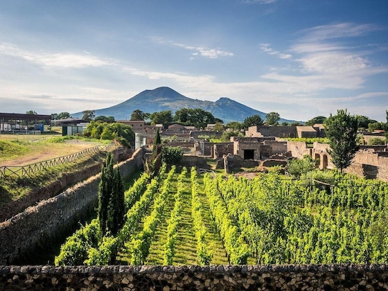 Gallery - Villa Franca