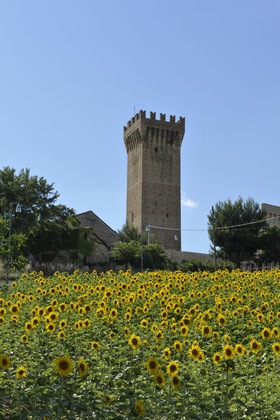 Gallery - Al Crepuscolo Agriturismo