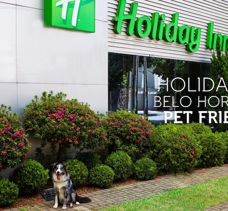 Gallery - Holiday Inn Belo Horizonte Savassi By Ihg