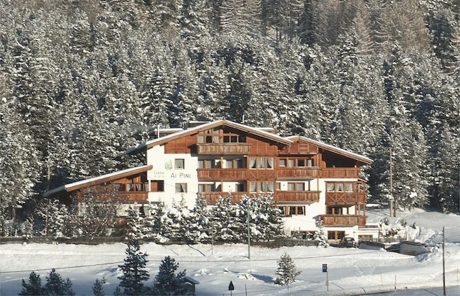 Gallery - Ai Pini