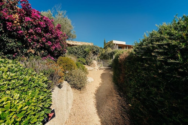 Gallery - Les Bergeries De Palombaggia