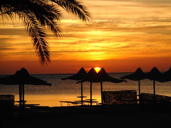 Gallery - Bliss Abo Nawas Resort - All Inclusive
