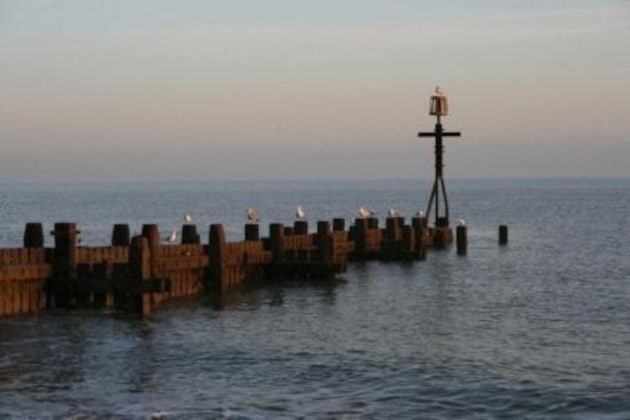 Gallery - Seals Bacton