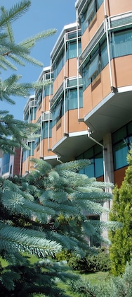 Gallery - Ankara Hotel Midi