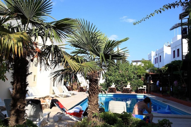 Gallery - Paloma Hotel