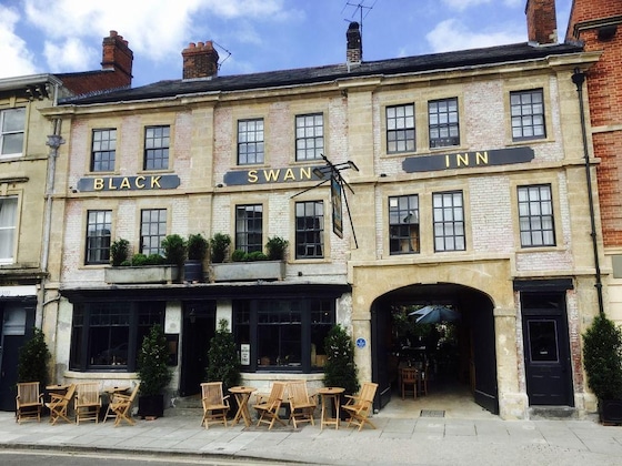 Gallery - The Black Swan