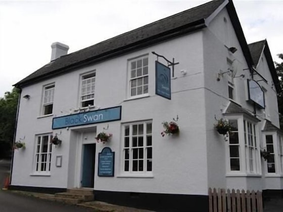 Gallery - The Black Swan