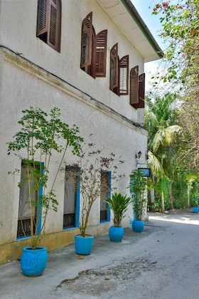 Gallery - Hiliki House