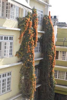 Gallery - Festoon Hotel