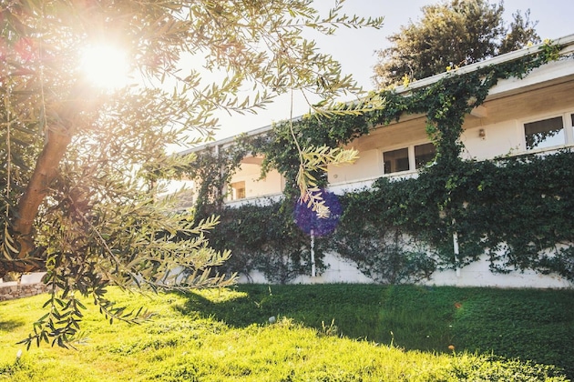 Gallery - Masseria Santa Teresa