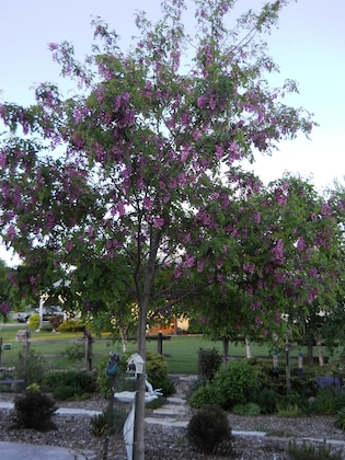 Gallery - Wenzler's Landing Bed & Breakfast