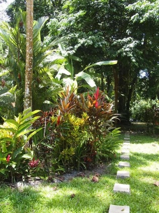 Gallery - Casa Moabi