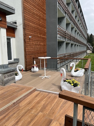 Gallery - Sunday Schwarzbachtal Hideaway Resort