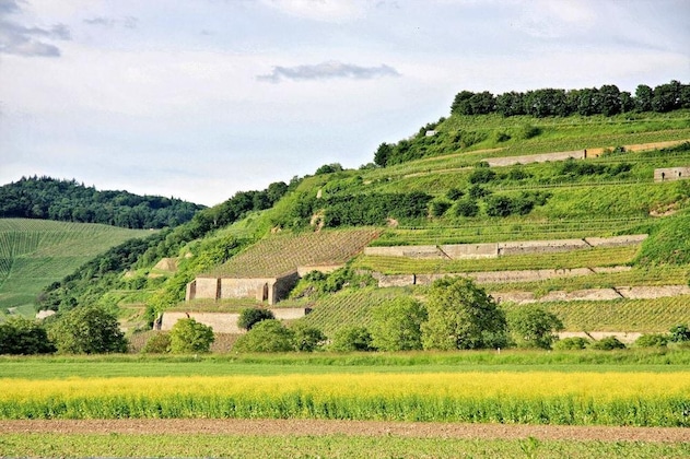 Gallery - Winzerstube Ihringen