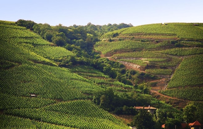 Gallery - Ibis Budget Pouilly-En-Auxois