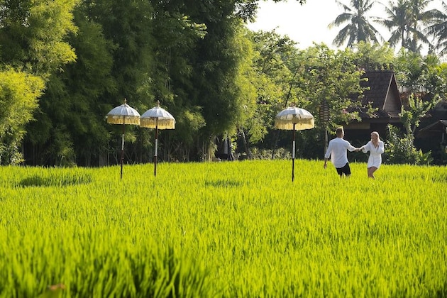 Gallery - Alaya Resort Ubud