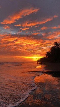 Gallery - Tranquilidad Resort