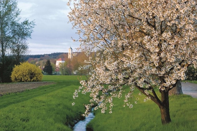 Gallery - Best Western Aparthotel Birnbachhoehe