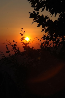 Gallery - Pelion Resort