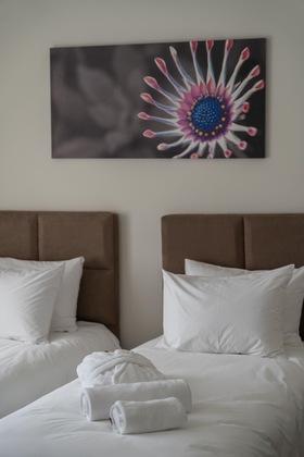 Gallery - Vitta Hotel Superior