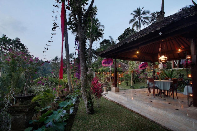 Gallery - The Mahogany Villa