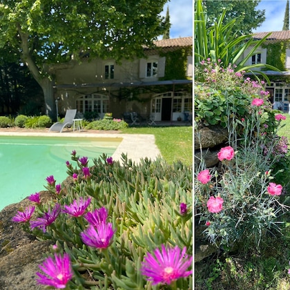 Gallery - La Sommellerie