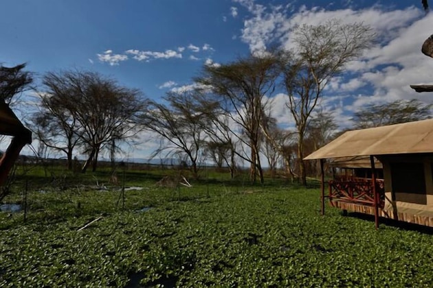 Gallery - Kiboko Luxury Camp