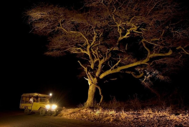 Gallery - Severin Safari Camp
