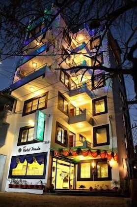 Gallery - New Hotel Panda