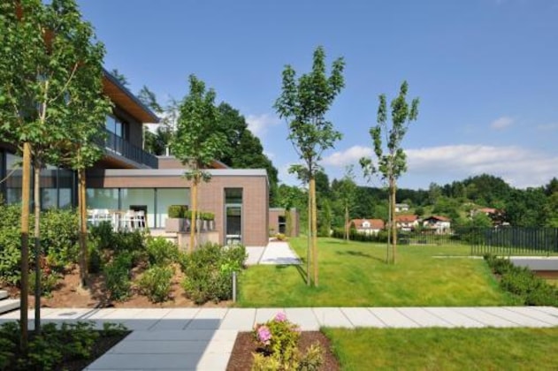 Gallery - Oranda Village