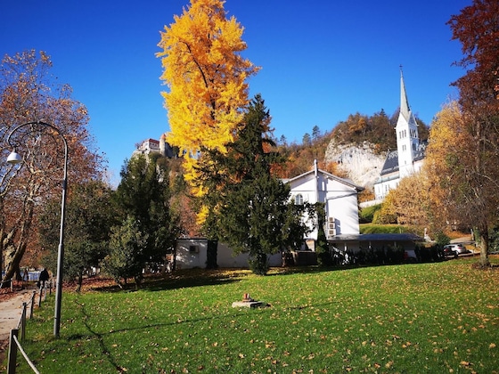 Gallery - Vila Prešeren