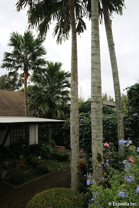 Gallery - Joaquin's Bed And Breakfast