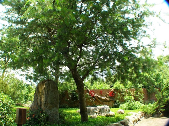 Gallery - Zen And Pine Resort