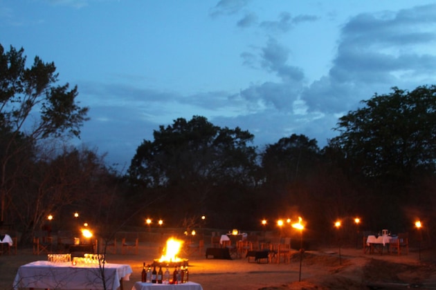 Gallery - Big Game Yala By Eco Team