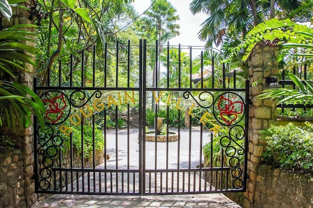 Gallery - Bougainvillea Retreat
