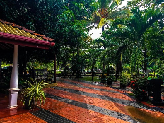 Gallery - Tishan Holiday Resort