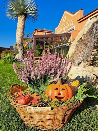 Gallery - Hotel Galanta