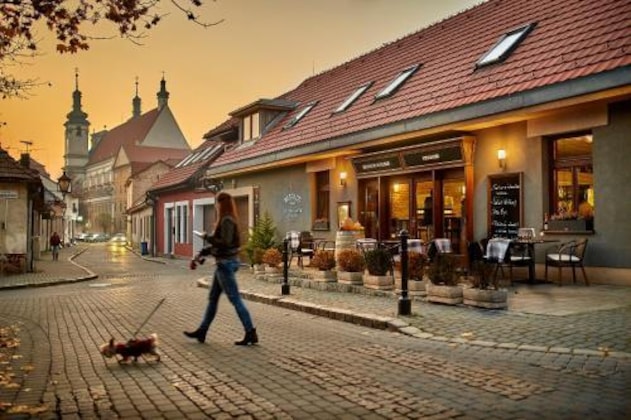 Gallery - Pension & Restaurant Patriot Trnava