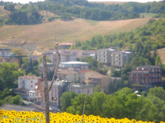 Gallery - Garden Hotel Tabiano