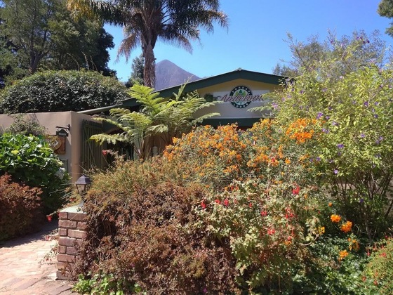 Gallery - Andelomi Forest Lodge