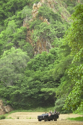 Gallery - Leopard Mountain Safari Lodge