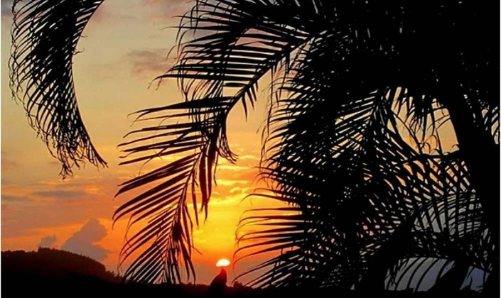 Gallery - Adventure In Paradise
