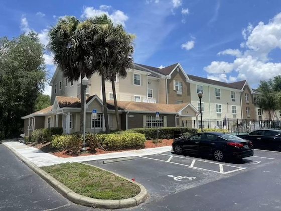 Gallery - Mainstay Suites Tampa Moffitt-Usf