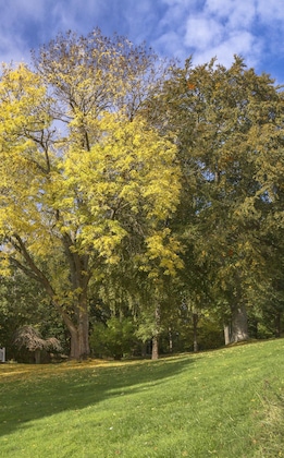 Gallery - Villa Lovik