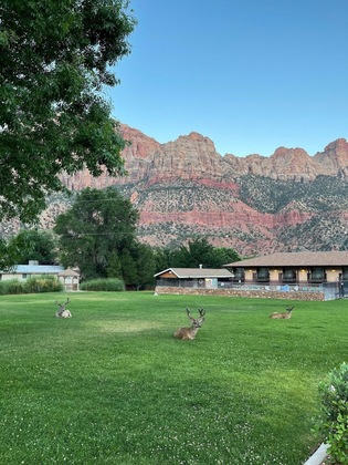 Gallery - Bumbleberry Inn