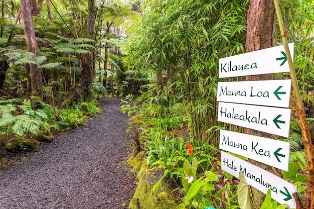 Gallery - Volcano Village Lodge