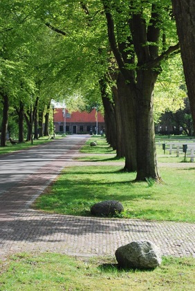 Gallery - Bitter en Zoet