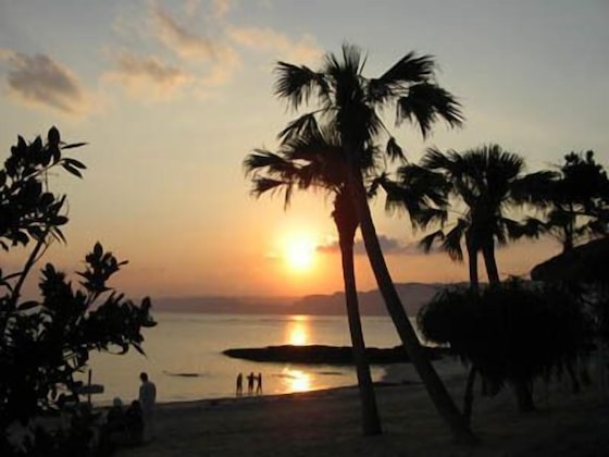 Gallery - Amami Resort Basyayamamura